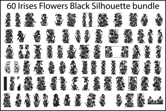 60 Irises Flowers Black Silhouette Graphics