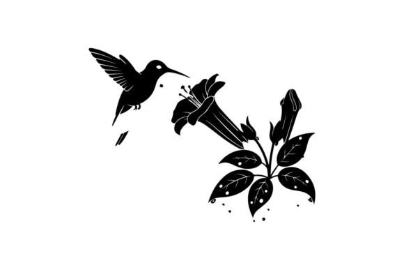 Hummingbirds and Flowers Graphics for Branding